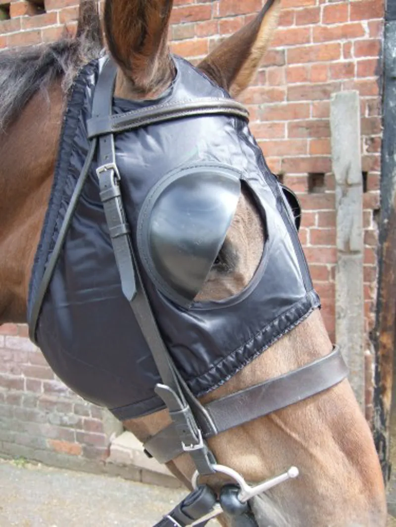 Racesafe Racing Blinkers- Black